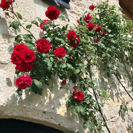 De Charme Avec Piscine Montpezat-de-Quercy