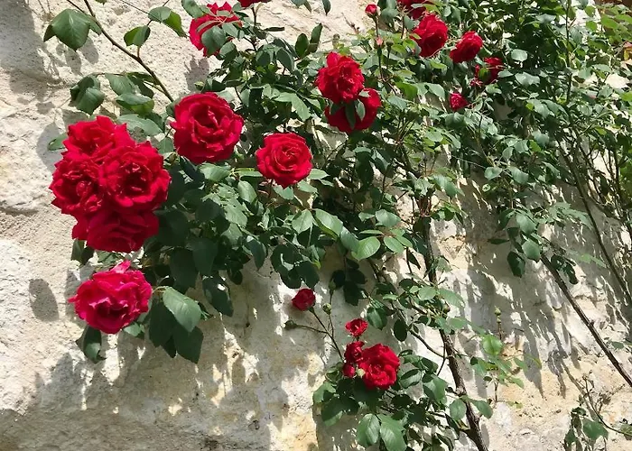 De Charme Avec Piscine Montpezat-de-Quercy