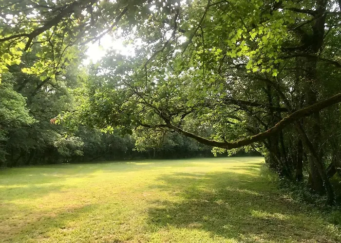 De Charme Avec Piscine Hébergement de vacances *